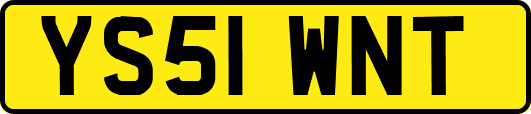YS51WNT