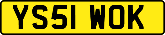 YS51WOK