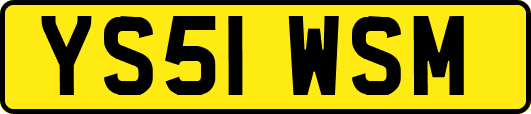 YS51WSM