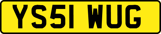 YS51WUG