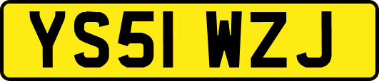 YS51WZJ