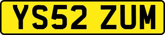 YS52ZUM