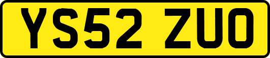 YS52ZUO