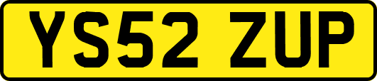 YS52ZUP