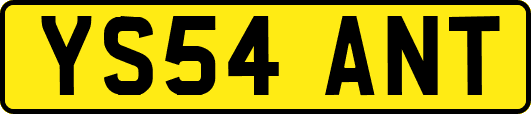 YS54ANT