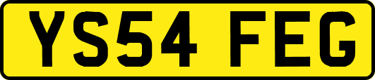 YS54FEG
