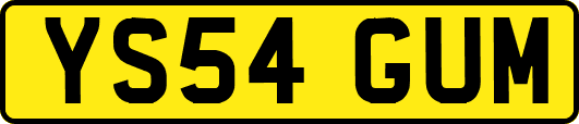 YS54GUM