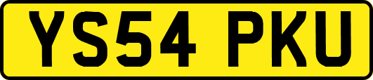 YS54PKU
