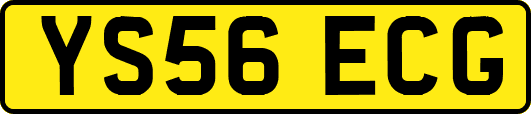 YS56ECG