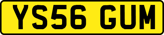 YS56GUM