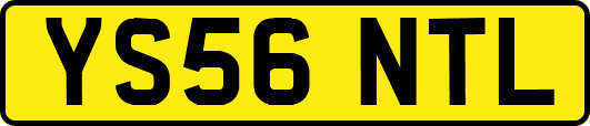 YS56NTL