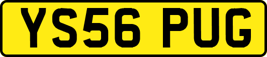 YS56PUG