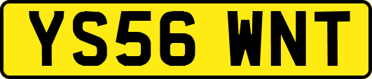 YS56WNT