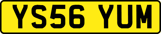 YS56YUM