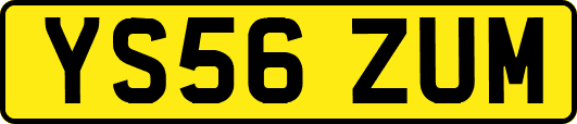 YS56ZUM