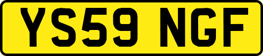 YS59NGF