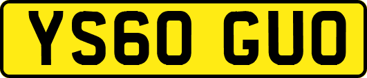 YS60GUO
