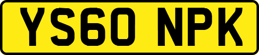 YS60NPK