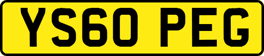 YS60PEG