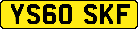 YS60SKF