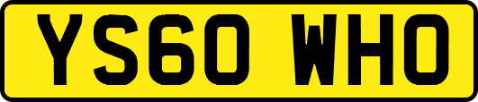 YS60WHO