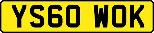 YS60WOK