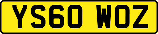 YS60WOZ