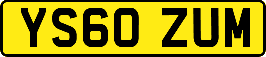YS60ZUM