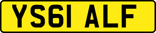 YS61ALF