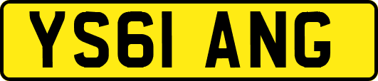 YS61ANG