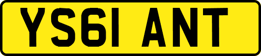 YS61ANT