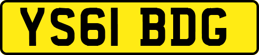 YS61BDG