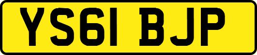 YS61BJP