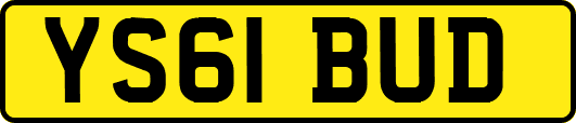 YS61BUD
