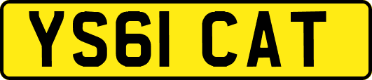 YS61CAT