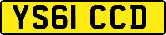YS61CCD