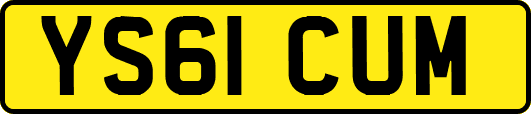 YS61CUM