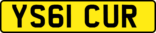 YS61CUR