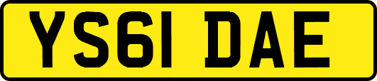 YS61DAE
