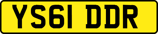 YS61DDR