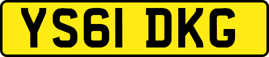 YS61DKG