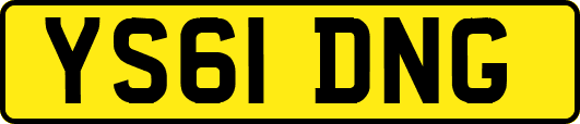 YS61DNG