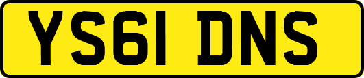 YS61DNS