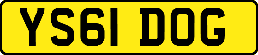 YS61DOG