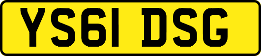 YS61DSG