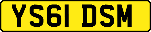 YS61DSM