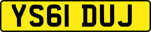 YS61DUJ