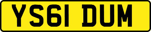 YS61DUM