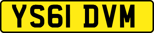 YS61DVM