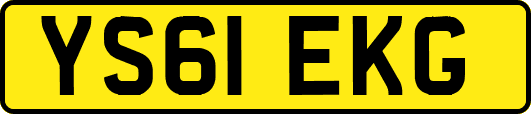 YS61EKG
